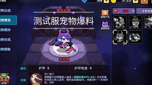 我的勇者最新爆料,揭秘神秘爆料背后的传奇冒险